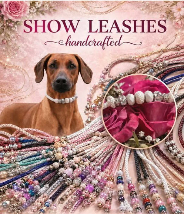 Câine elegant cu lesă de show lucrată manual